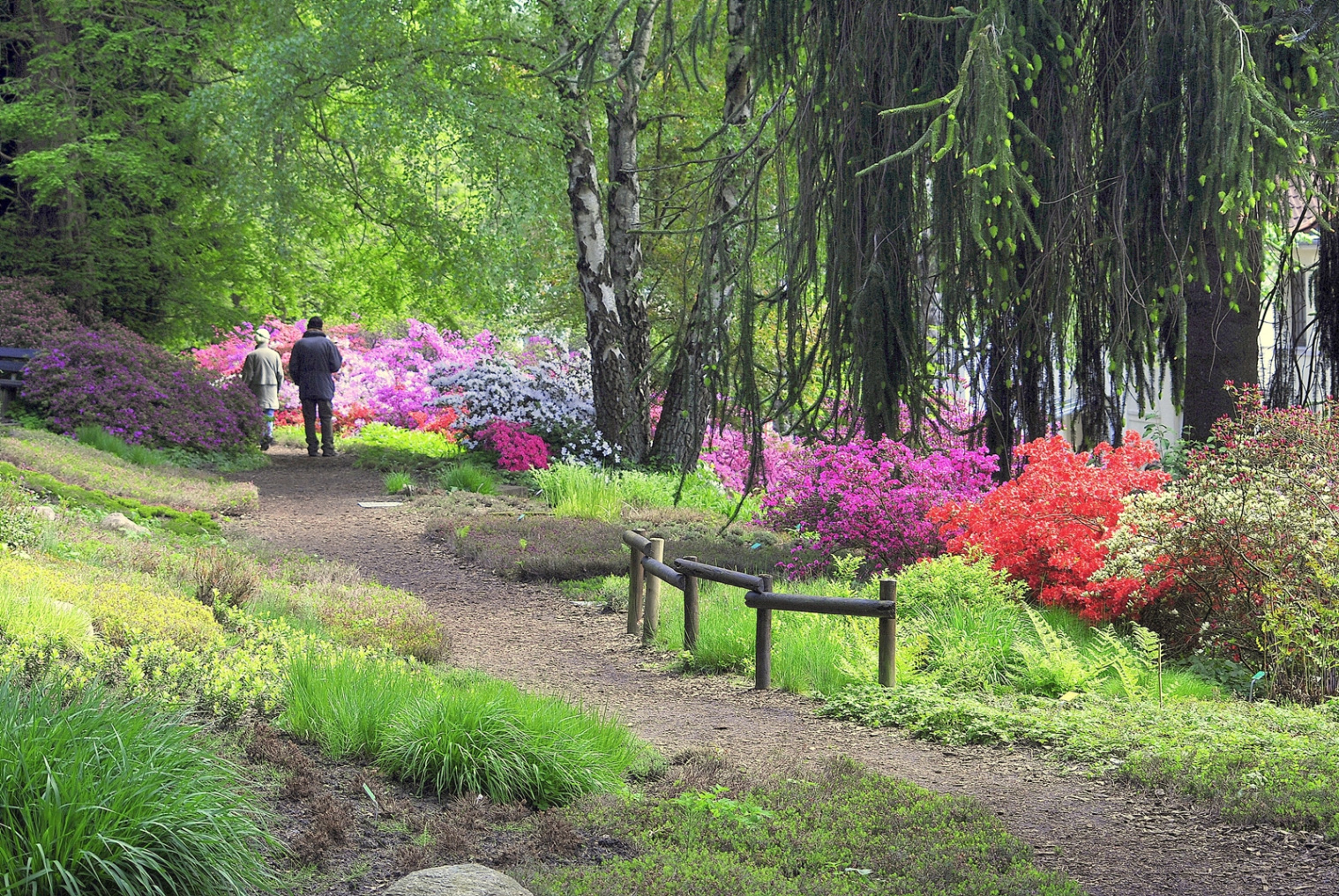 Botanischer Garten Bielefeld